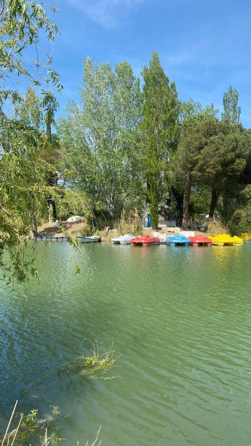 Joli Appartement 27M2 Oasis Provencale En Village Vacances En Camargue อาร์ลส์ ภายนอก รูปภาพ